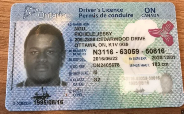 Buy canadian driver's license