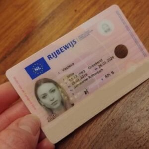 Real Netherlands Drivers License