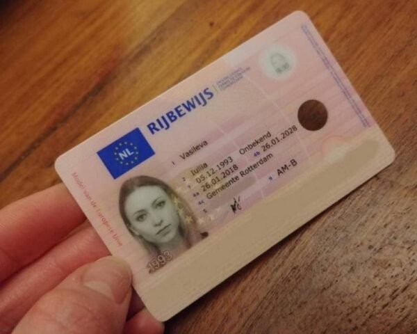 Real Netherlands Drivers License