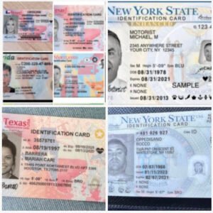 All 50 ID Cards online