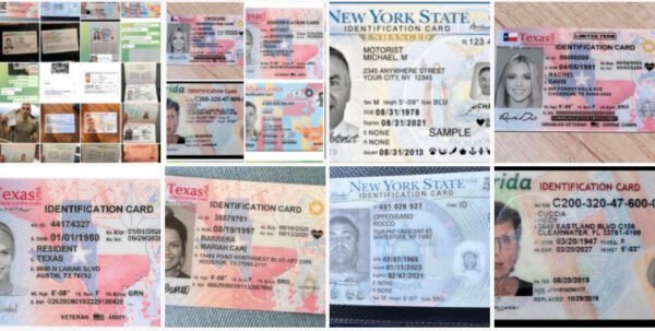 All 50 ID Cards online